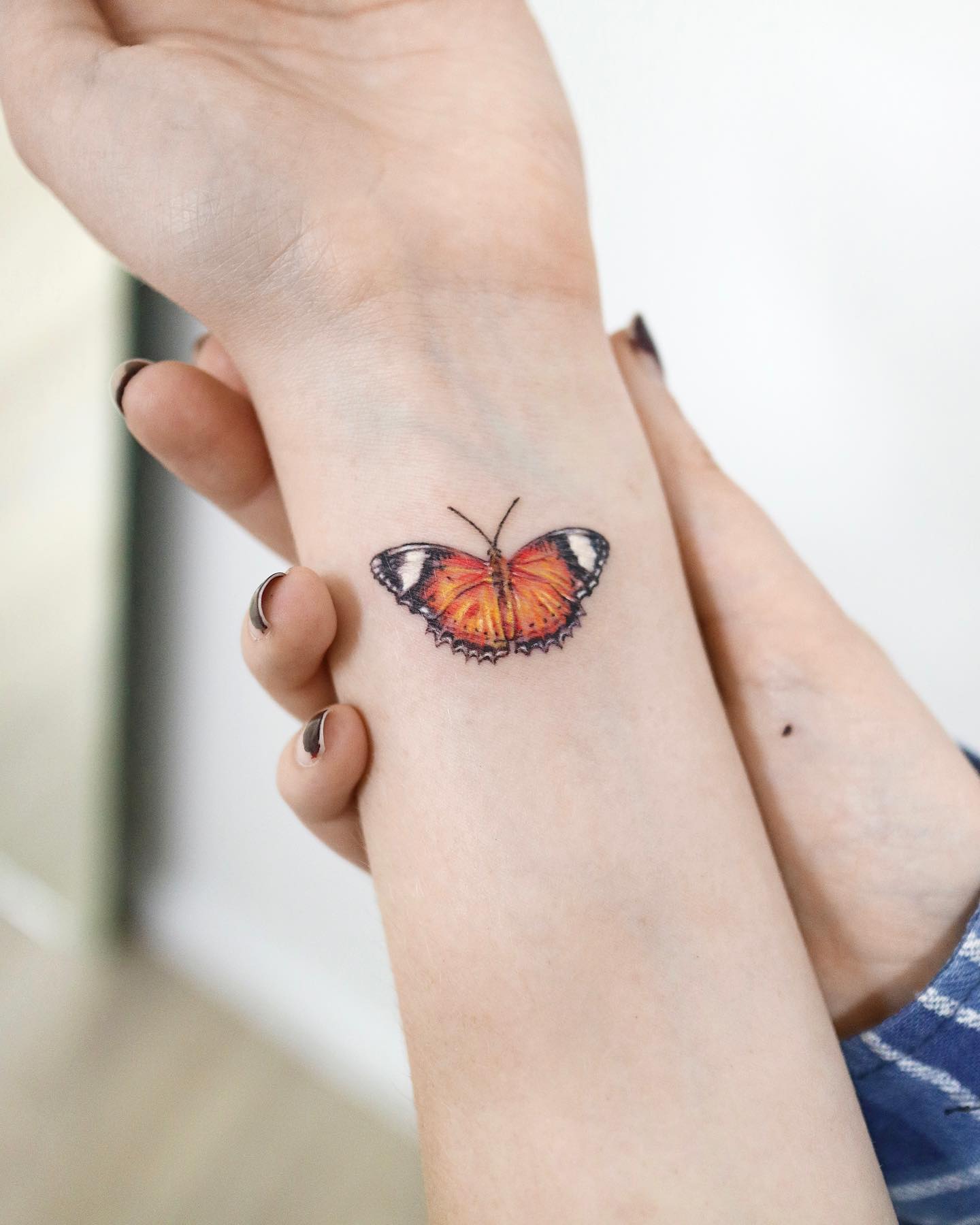 Nature, Animal