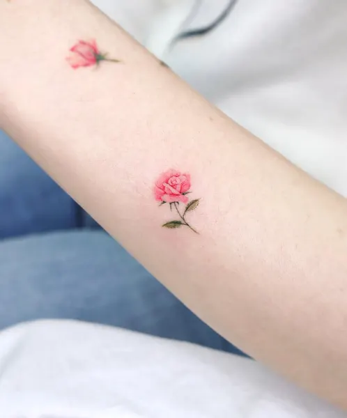 Flower, Rose