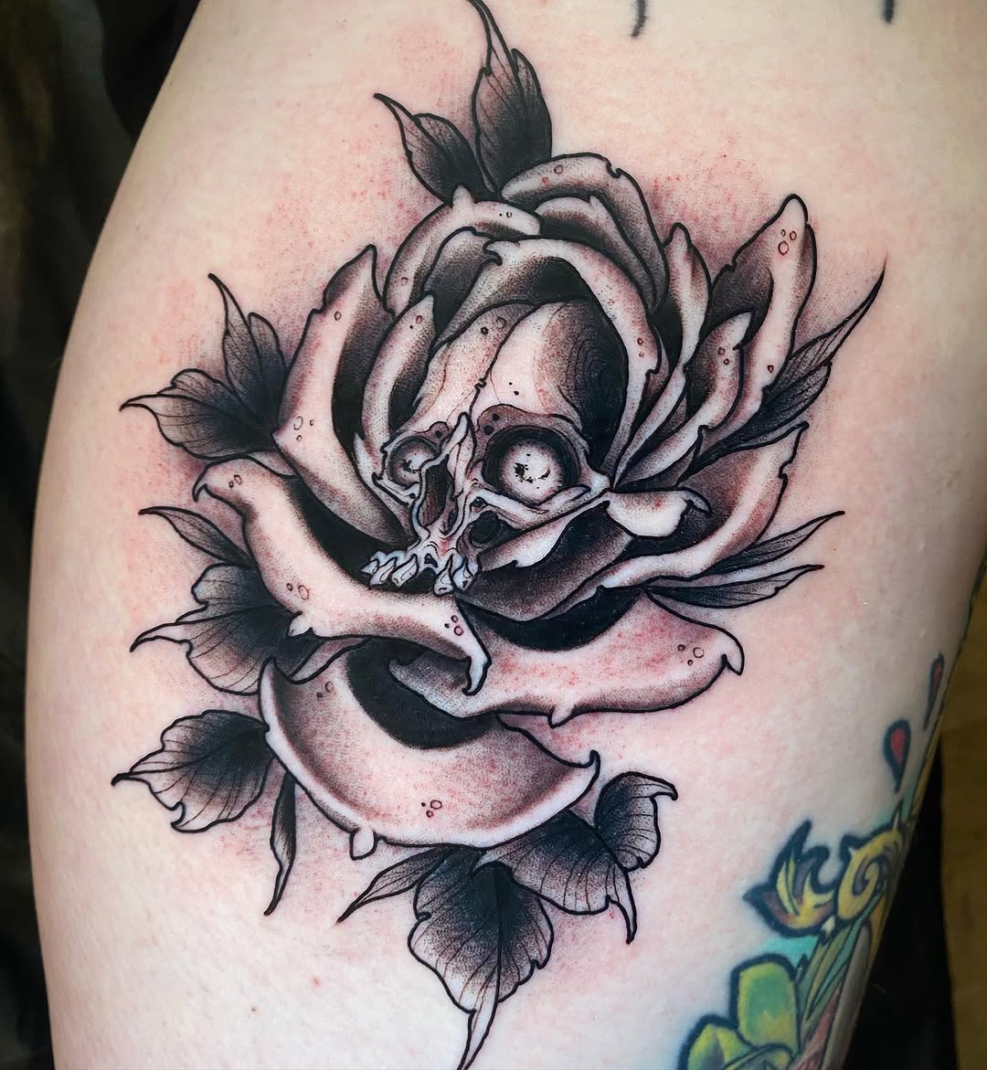Flower, Rose