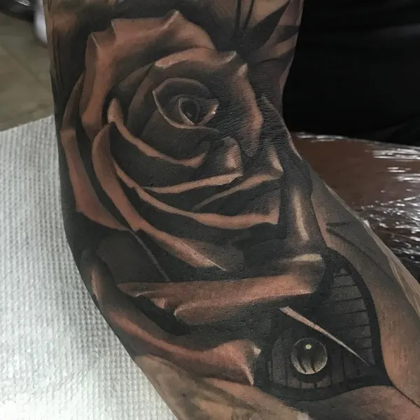 Flower, Rose