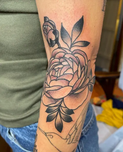 Flower, Rose, Nature