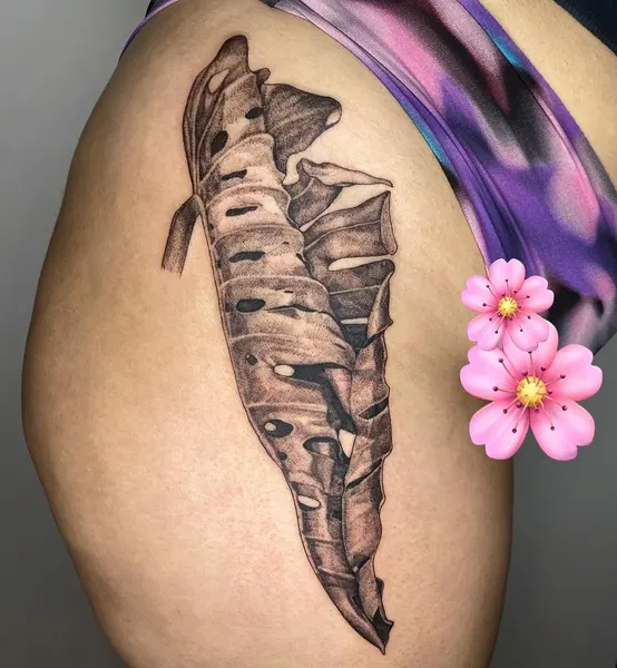 plantsnpokes