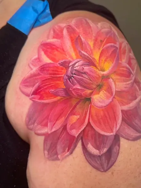 Flower, Rose