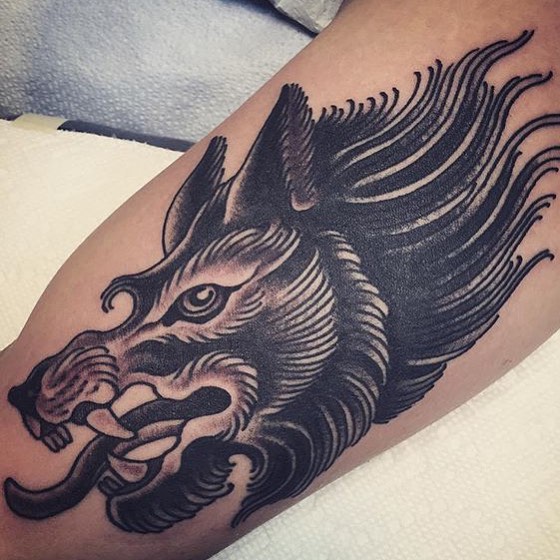 Tiger, Animal