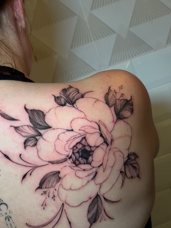 Flower, Nature, Rose