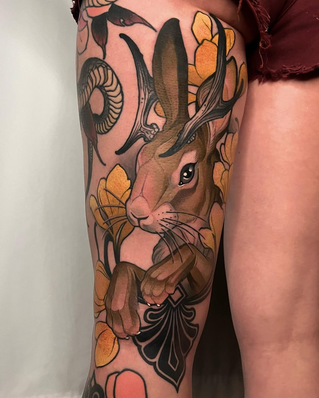 Animal