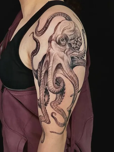 Animal