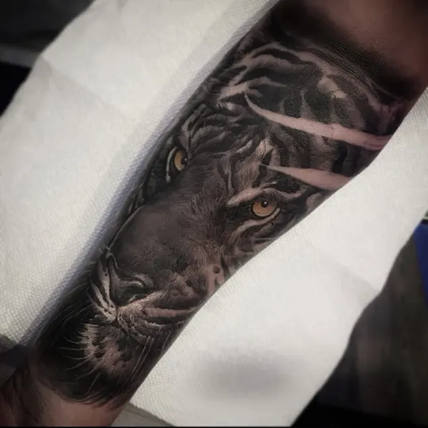 Tiger