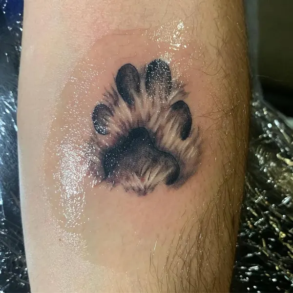 Animal