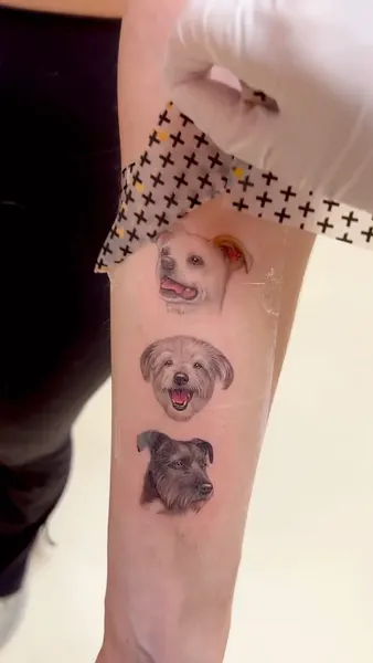 paw.tattoo