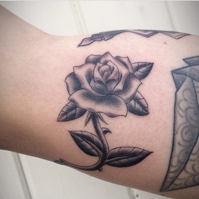 Flower, Rose