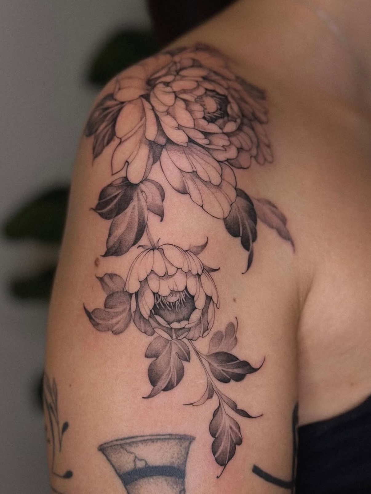 Flower, Rose, Nature