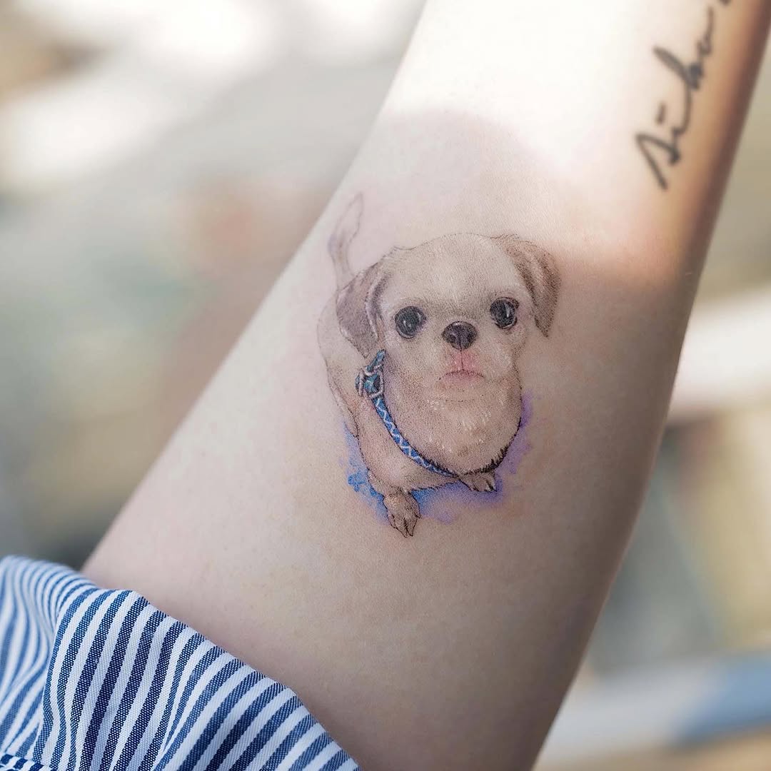 soltattoo