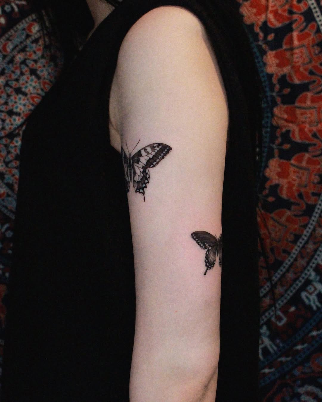 Animal, Nature, 나방