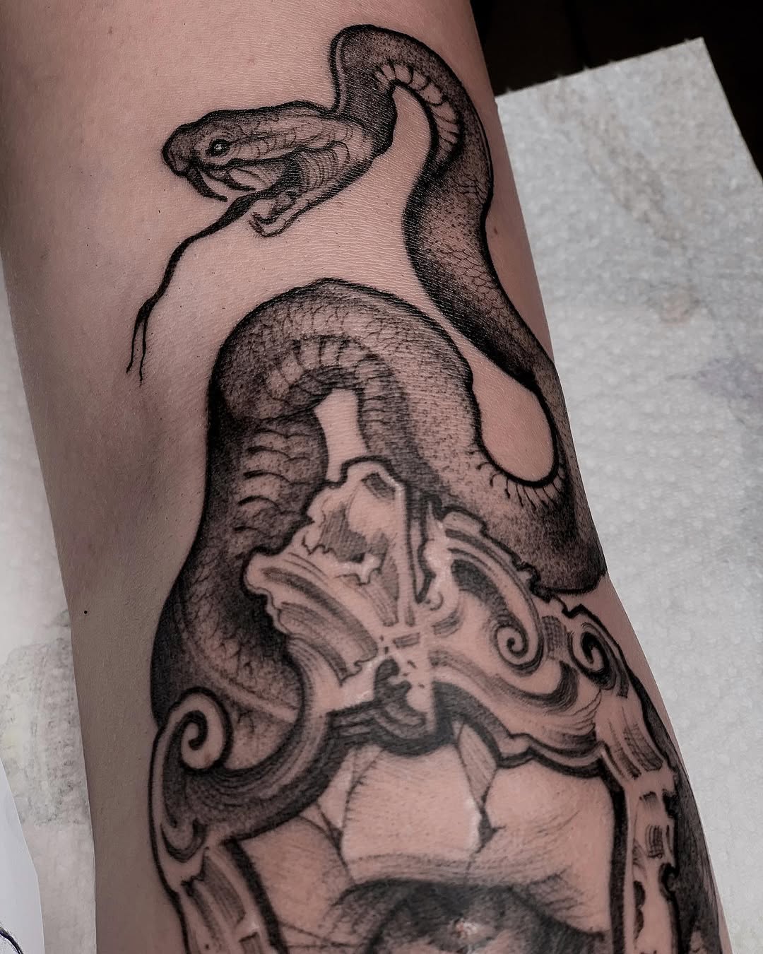 Animal, Dragon