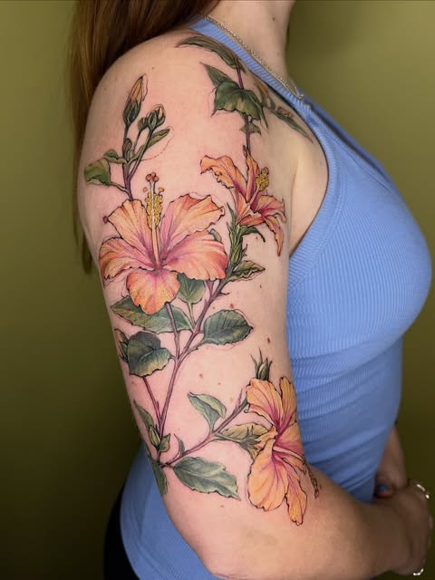 Flower, Nature, 히비스커스