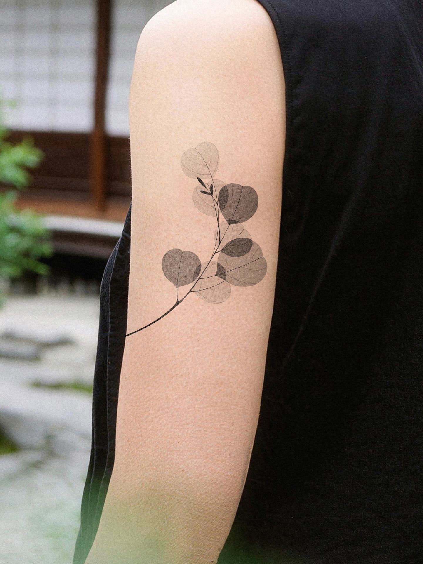 Flower, Nature, Rose