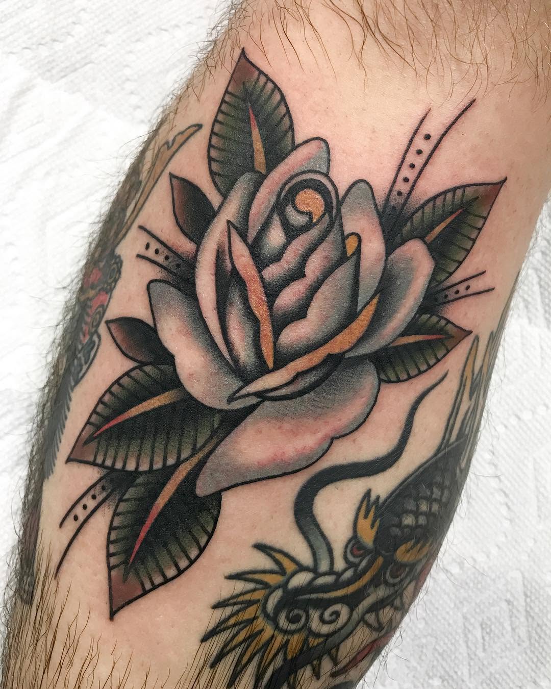 Flower, Rose