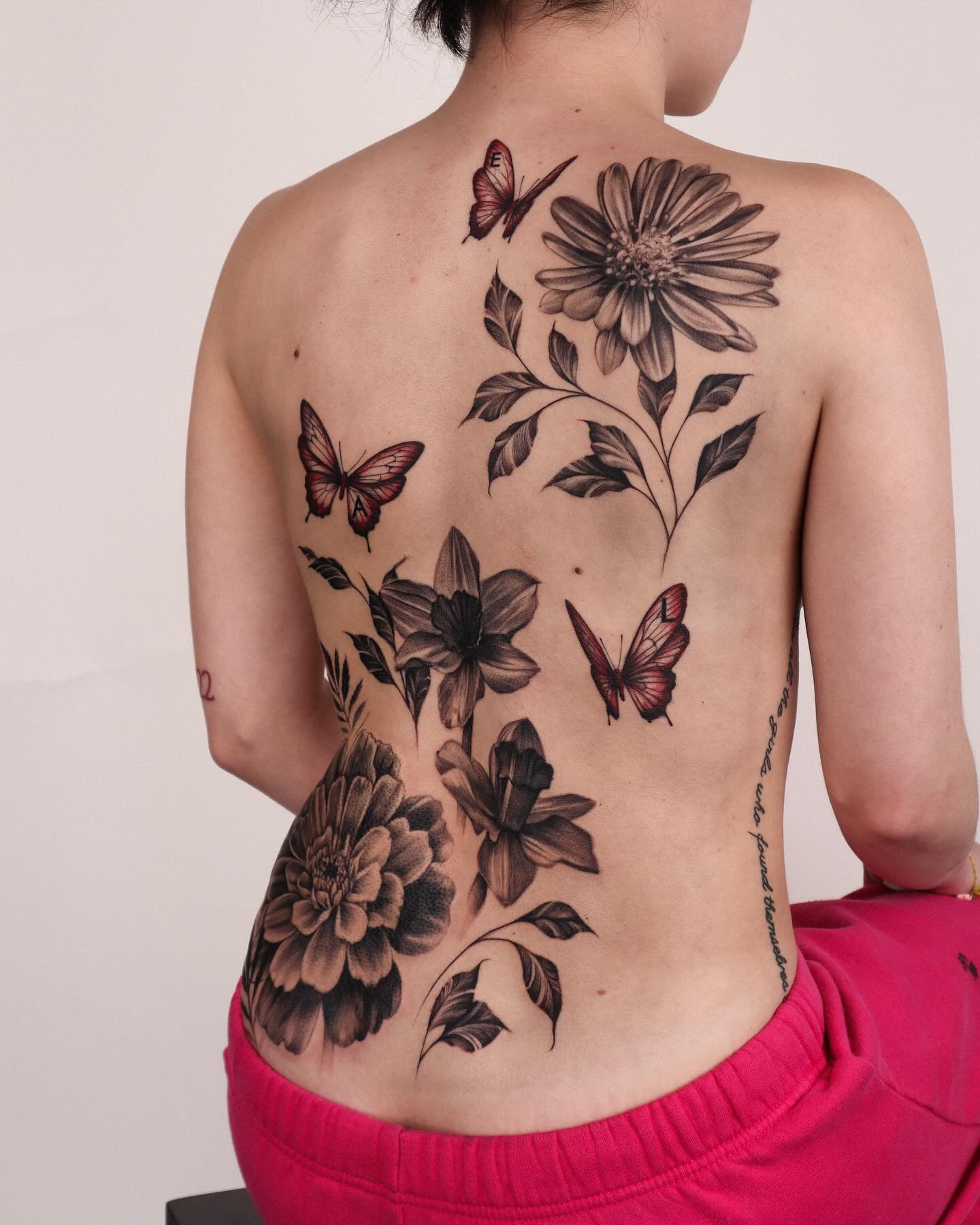 Flower, Nature, Rose