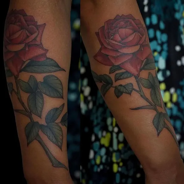 Flower, Rose