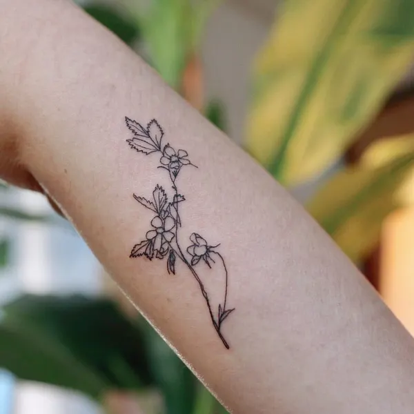 Flower, Rose