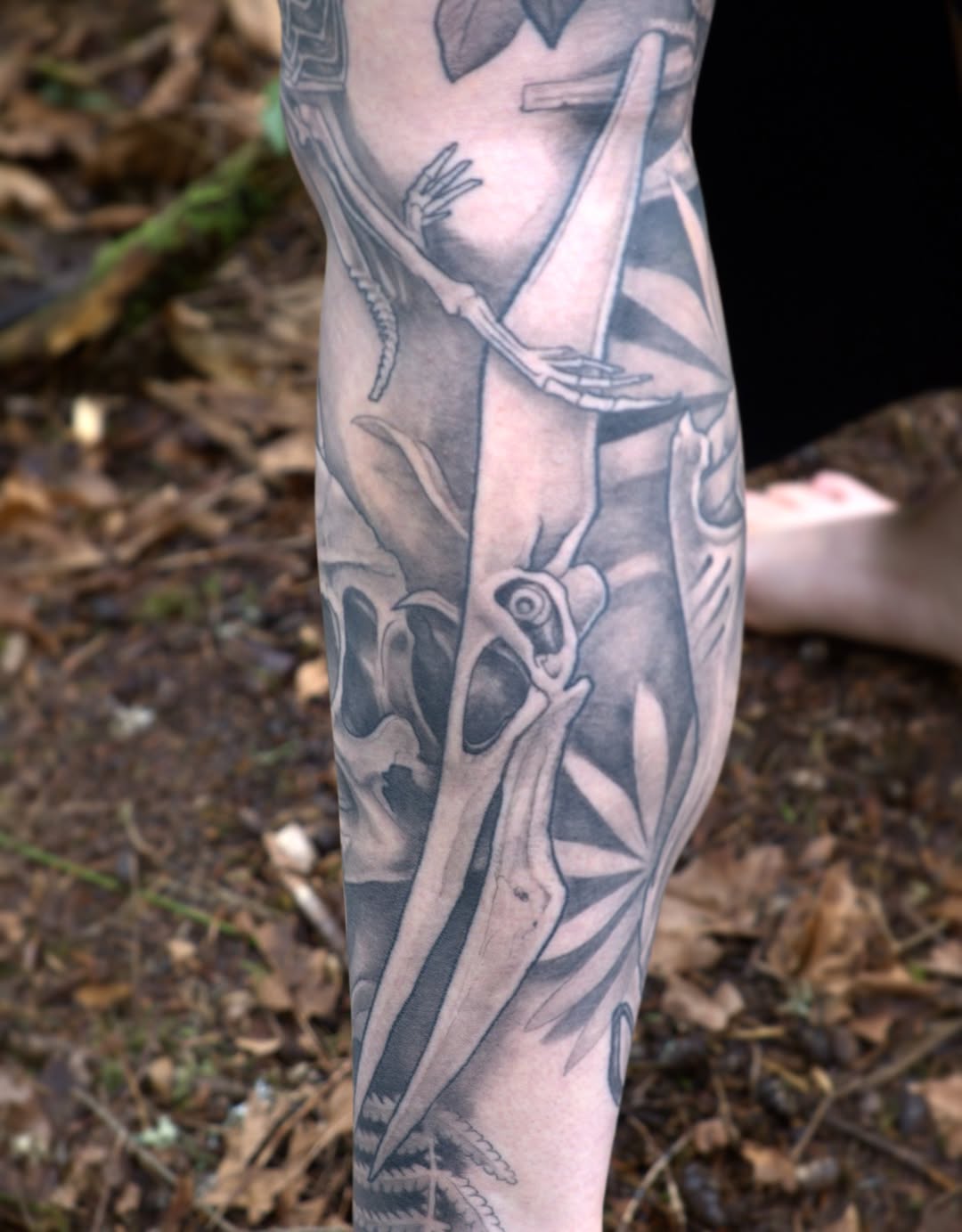 shawn_hebrank