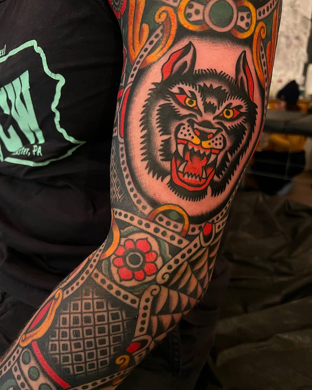 Tiger, Animal