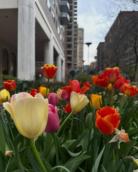 snuffy.nyc