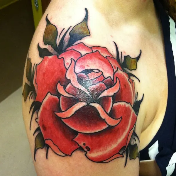 Flower, Rose, Nature
