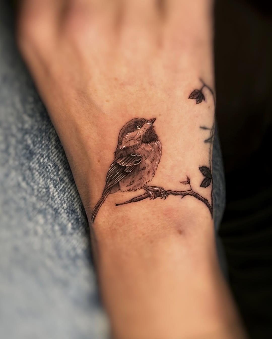 tatsbyjenni