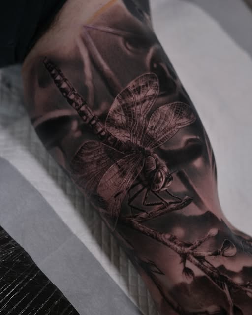 Animal, Nature, 잠자리, 매미