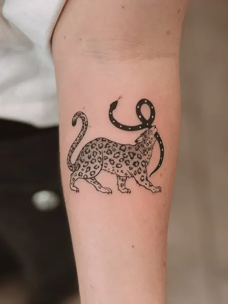 Tiger, Animal