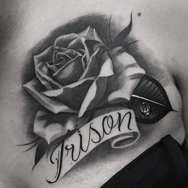 Flower, Rose, Nature
