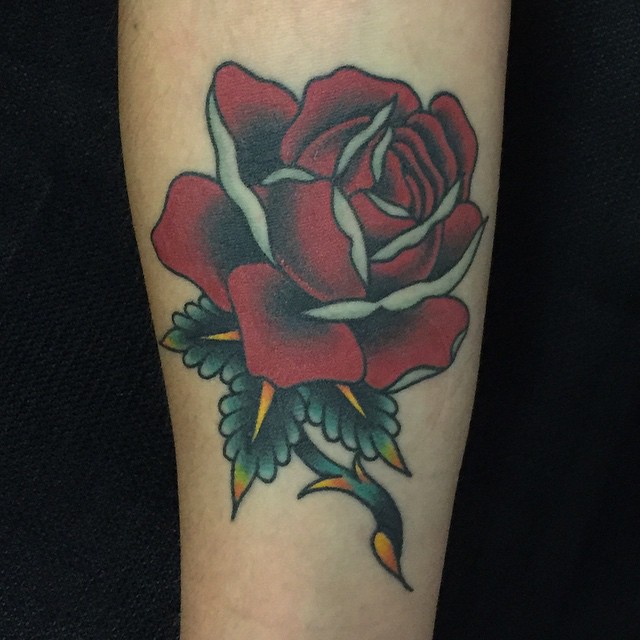 Flower, Rose