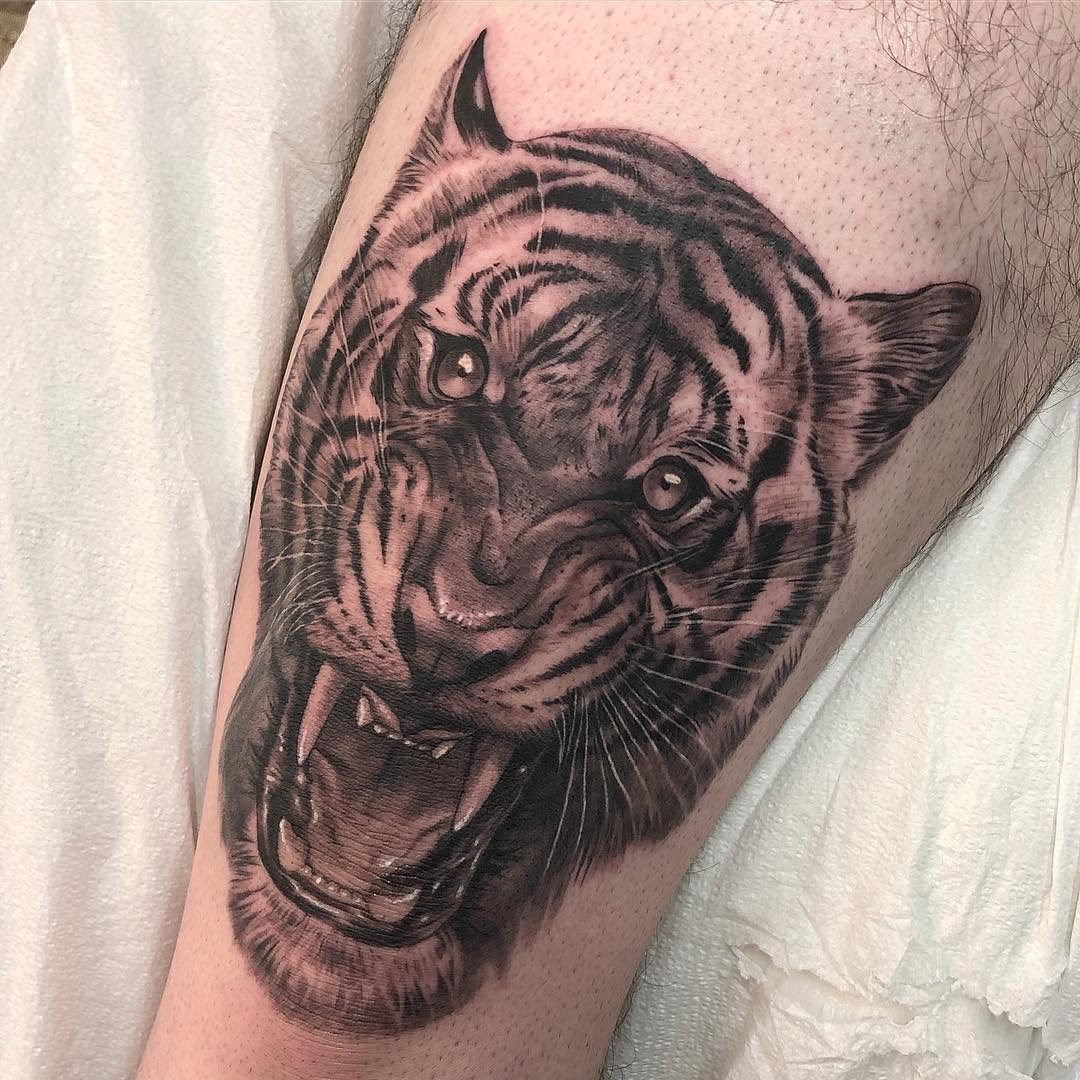 Tiger, 한국 호랑이
