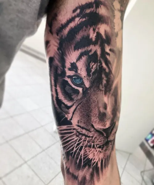 Tiger