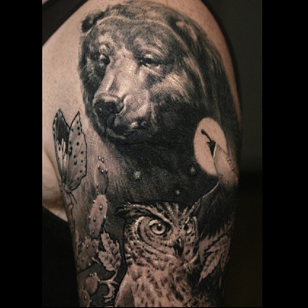 Animal