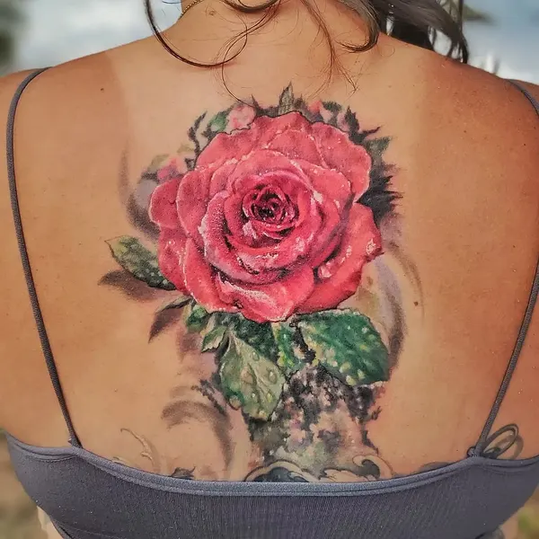 Flower, Rose