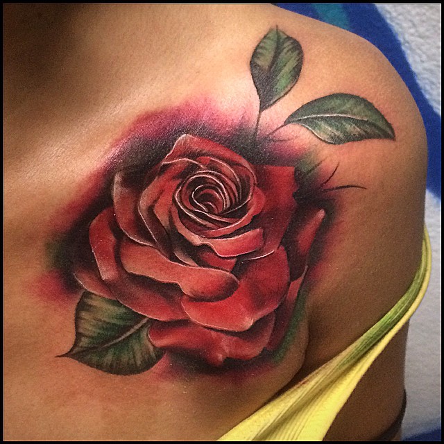 Flower, Rose, Nature