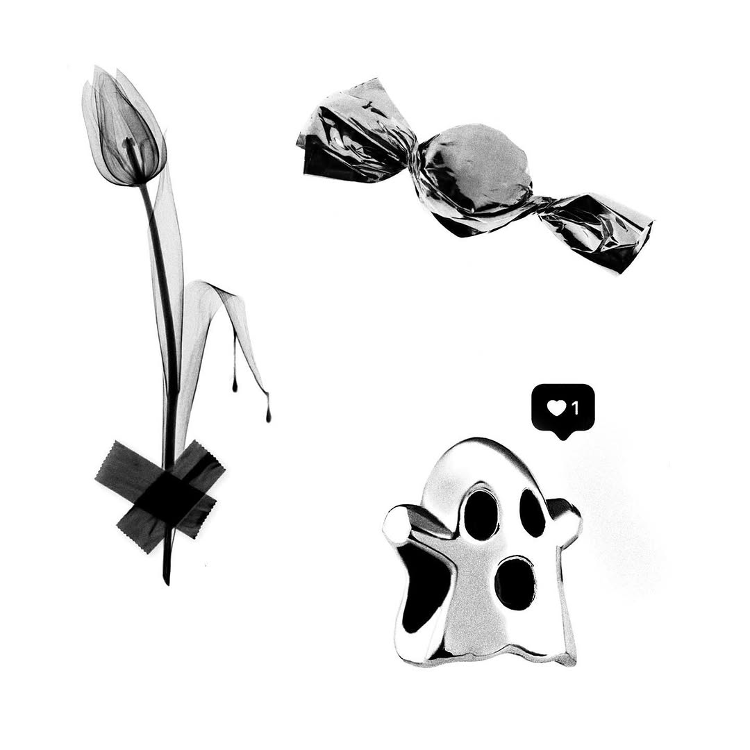 plantsnpokes