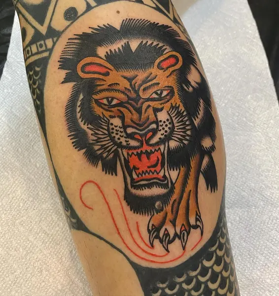 Tiger, Animal