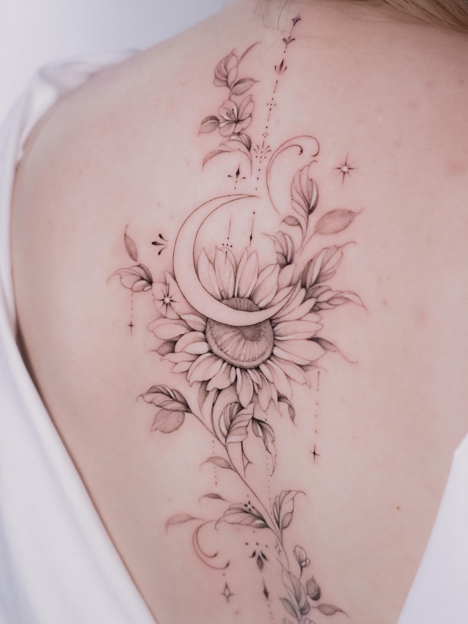 Flower, Rose, Nature