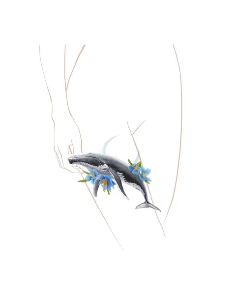 Nature, Animal