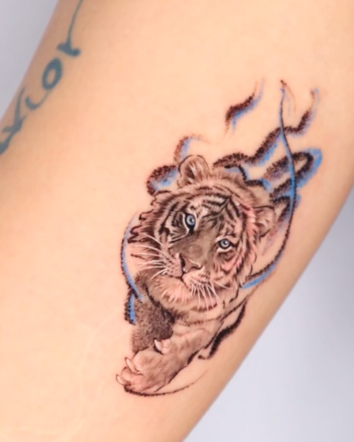 Tiger, 중국 호랑이, 치타, 한국 호랑이