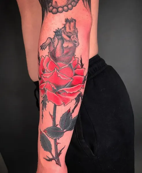 Flower, Rose