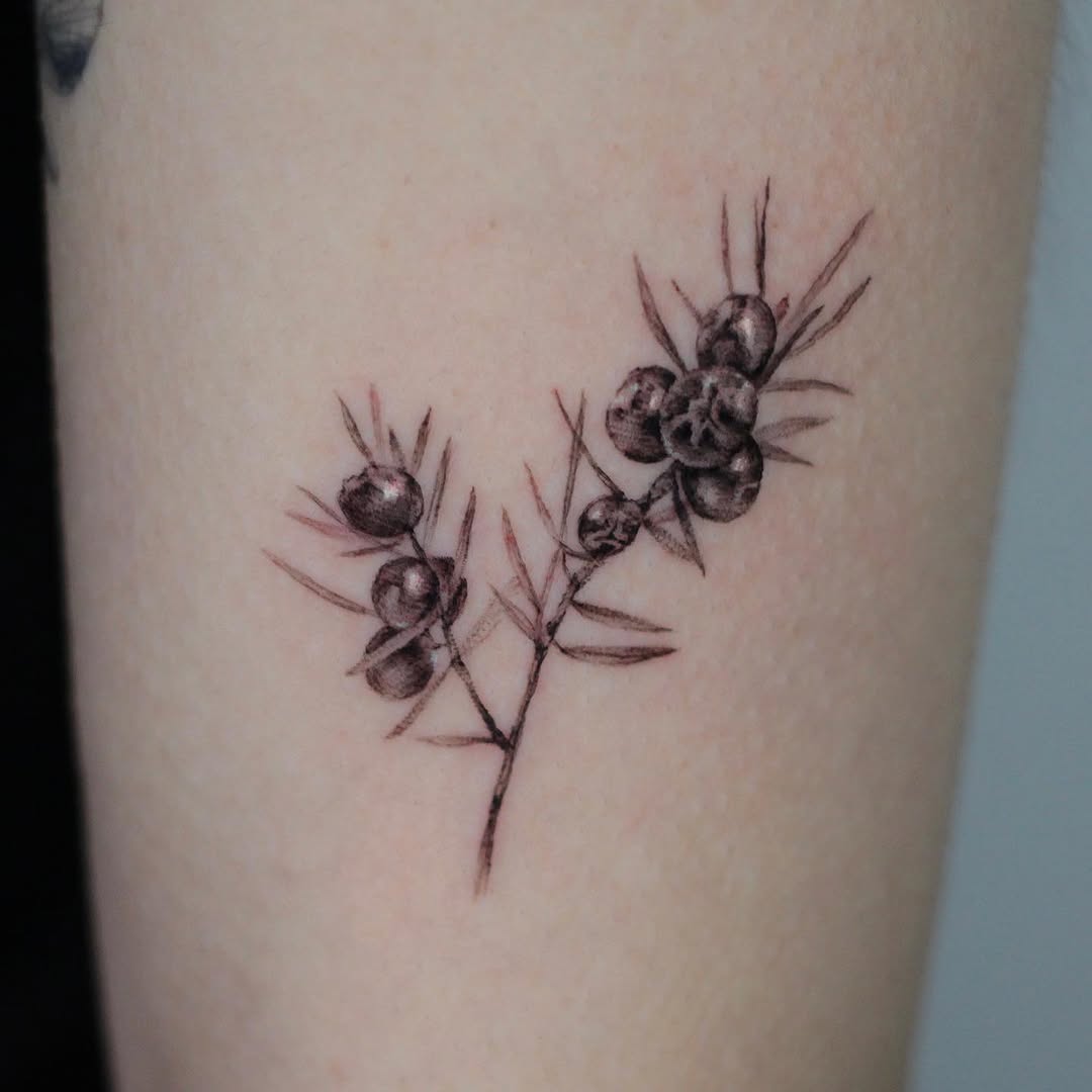 40.tatt