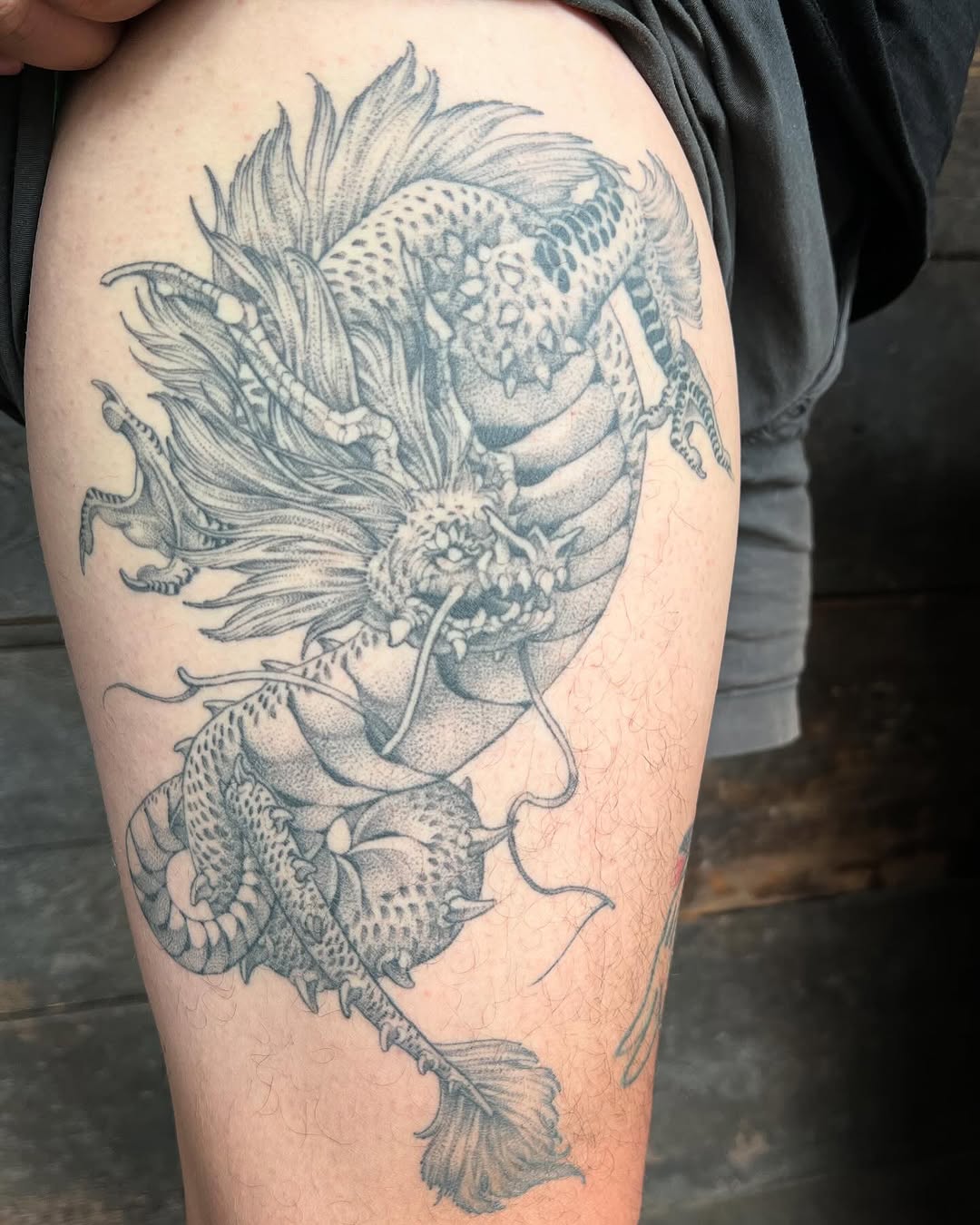 Dragon