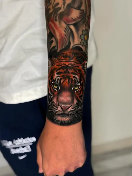 Tiger, 중국 호랑이, 치타, 한국 호랑이