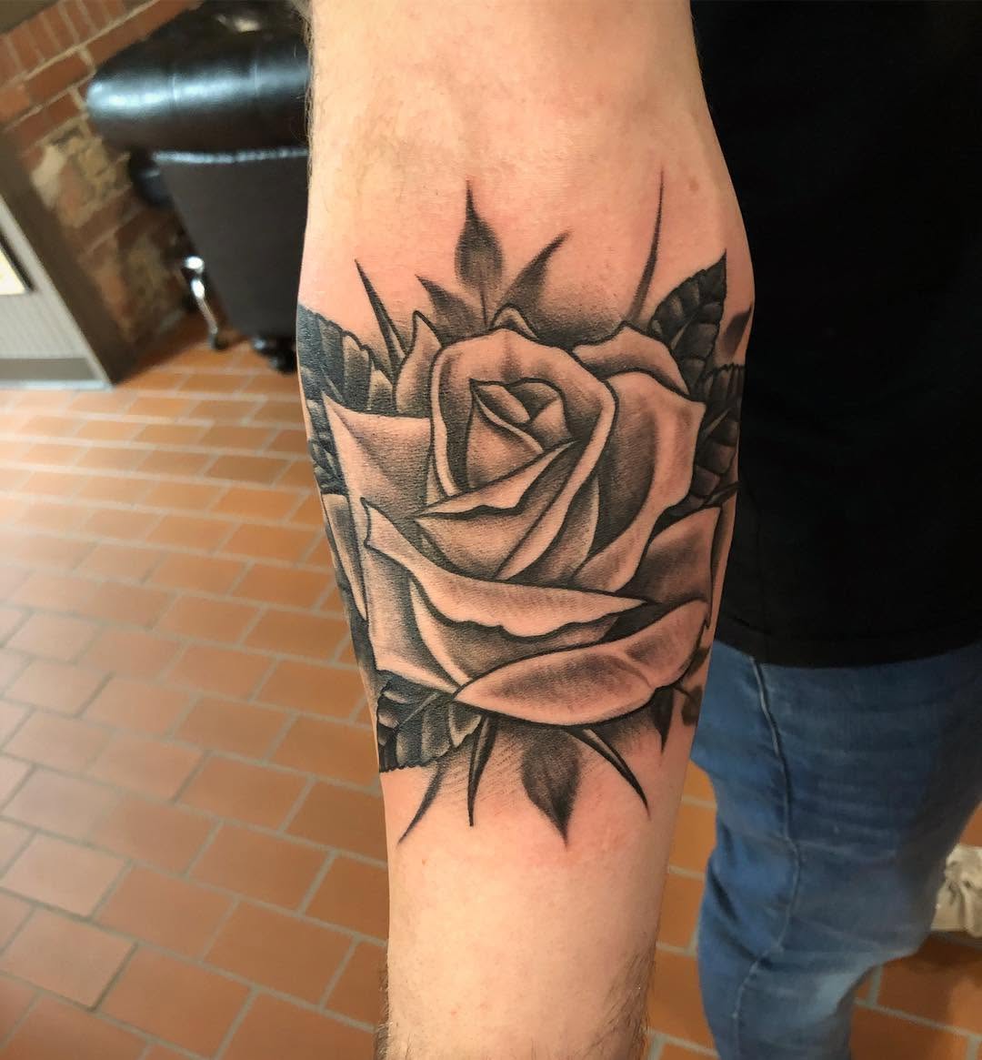 Flower, Rose