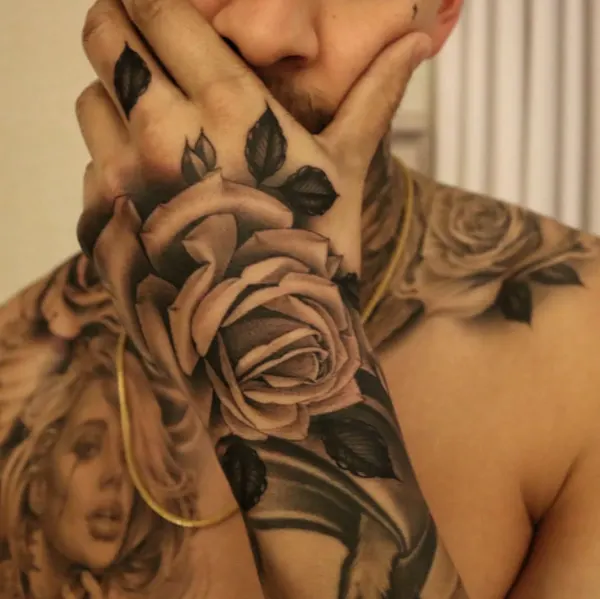 Flower, Rose, Nature